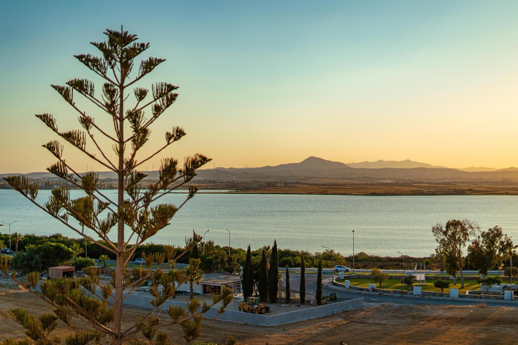 Majestic Sunset Salt Lake Views 300M From Beach Larnaca Bagian luar foto